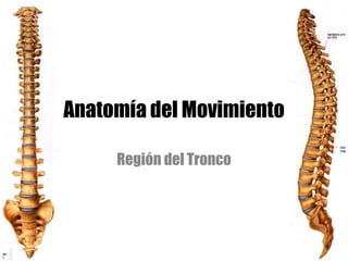 Anatomía del Movimiento
Región del Tronco
 