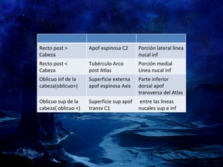 Recto post > Cabeza Apof espinosa C2 Porción lateral linea nucal inf Recto post < Cabeza Tubérculo Arco post Atlas  Porción medial Linea nucal inf Oblicuo inf de la cabeza(oblicuo>) Superficie externa apof espinosa Axis Parte inferior dorsal apof transversa del Atlas Oblicuo sup de la cabeza( oblicuo <) Superficie sup apof transv C1 entre las lineas nucales sup e inf 