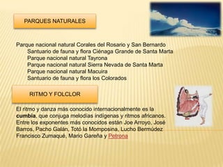 PARQUES NATURALES



Parque nacional natural Corales del Rosario y San Bernardo
    Santuario de fauna y flora Ciénaga Grande de Santa Marta
    Parque nacional natural Tayrona
    Parque nacional natural Sierra Nevada de Santa Marta
    Parque nacional natural Macuira
    Santuario de fauna y flora los Colorados

     RITMO Y FOLCLOR

El ritmo y danza más conocido internacionalmente es la
cumbia, que conjuga melodías indígenas y ritmos africanos.
Entre los exponentes más conocidos están Joe Arroyo, José
Barros, Pacho Galán, Totó la Momposina, Lucho Bermúdez
Francisco Zumaqué, Mario Gareña y Petrona
 