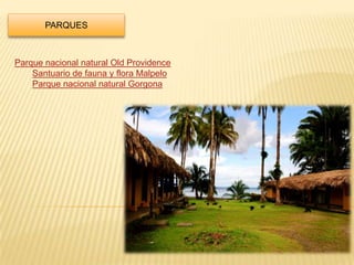 PARQUES



Parque nacional natural Old Providence
    Santuario de fauna y flora Malpelo
    Parque nacional natural Gorgona
 