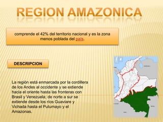comprende el 42% del territorio nacional y es la zona
              menos poblada del país.




 DESCRIPCION



La región está enmarcada por la cordillera
de los Andes al occidente y se extiende
hacia el oriente hasta las fronteras con
Brasil y Venezuela; de norte a sur se
extiende desde los ríos Guaviare y
Vichada hasta el Putumayo y el
Amazonas.
 