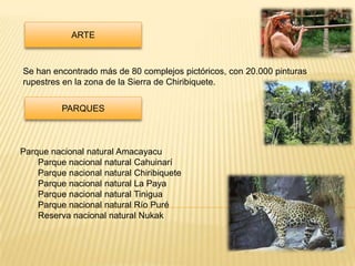 ARTE



Se han encontrado más de 80 complejos pictóricos, con 20.000 pinturas
rupestres en la zona de la Sierra de Chiribiquete.


          PARQUES



Parque nacional natural Amacayacu
    Parque nacional natural Cahuinarí
    Parque nacional natural Chiribiquete
    Parque nacional natural La Paya
    Parque nacional natural Tinigua
    Parque nacional natural Río Puré
    Reserva nacional natural Nukak
 