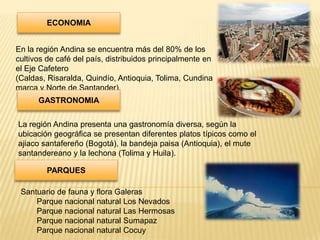 ECONOMIA


En la región Andina se encuentra más del 80% de los
cultivos de café del país, distribuidos principalmente en
el Eje Cafetero
(Caldas, Risaralda, Quindío, Antioquia, Tolima, Cundina
marca y Norte de Santander).
      GASTRONOMIA

La región Andina presenta una gastronomía diversa, según la
ubicación geográfica se presentan diferentes platos típicos como el
ajiaco santafereño (Bogotá), la bandeja paisa (Antioquia), el mute
santandereano y la lechona (Tolima y Huila).

         PARQUES

 Santuario de fauna y flora Galeras
     Parque nacional natural Los Nevados
     Parque nacional natural Las Hermosas
     Parque nacional natural Sumapaz
     Parque nacional natural Cocuy
 