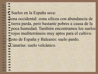 Suelos en la España seca: -zona occidental: zona silícea con abundancia de tierra parda, pero bastante pobres a causa de la poca humedad. También encontramos los suelos rojos mediterráneos muy aptos para el cultivo. -resto de España y Baleares: suelo pardo. - Canarias: suelo volcánico. 
