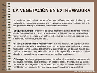 LA VEGETACIÓN EN EXTREMADURA La variedad del relieve extremeño, sus diferencias altitudinales y las matizaciones climáticas originan una vegetación igualmente variada, entre la que podemos distinguir diferentes formaciones boscosas: Bosque caducifolio : propio del as zonas montañosas más húmedas (vertiente sur del Sistema Central, zonas de los Montes de Toledo), está representado por robles, castaños, quejigos y un estrato arbustivo de las mismas especies junto a helechos, madroños, brezos, etc... El bosque perennifolio mediterráneo . En las llanuras, la vegetación más representativa es el bosque de encinas y alcornoques, que suele aparecer muy modificado por la acción del hombre y convertido en un bosque hueco con pastizal: la dehesa, muy extendida por toda la región. En el estrato arbustivo abunda el matorral: jaras, brezos, retamas, tomillos, espliegos... El bosque de ribera,  propio de zonas húmedas situadas en las cercanías de los cauces fluviales, está formada por chopos, alisos, fresnos, etc. La acción humana sobre la vegetación se ha traducido en algunas zonas, en una intensa repoblación con especies de claro interés económico (pinos y eucaliptos). Prof. ISAAC BUZO SÁNCHEZ 