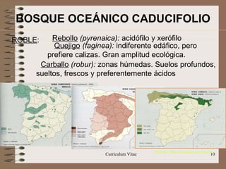 ROBLE : -   Rebollo  (pyrenaica):  acidófilo y xerófilo -  Quejigo   (faginea):  indiferente edáfico, pero prefiere calizas. Gran amplitud ecológica. -  Carballo   (robur):  zonas húmedas. Suelos profundos, sueltos, frescos y preferentemente ácidos BOSQUE OCEÁNICO CADUCIFOLIO (Fuente: Atlas Nacional de España)‏ 