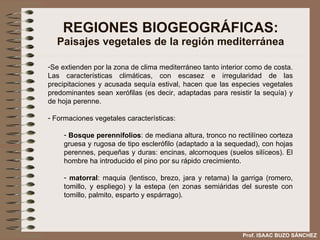 REGIONES BIOGEOGRÁFICAS: Paisajes vegetales de la región mediterránea Se extienden por la zona de clima mediterráneo tanto interior como de costa. Las características climáticas, con escasez e irregularidad de las precipitaciones y acusada sequía estival, hacen que las especies vegetales predominantes sean xerófilas (es decir, adaptadas para resistir la sequía) y de hoja perenne. Formaciones vegetales características:  Bosque perennifolios : de mediana altura, tronco no rectilíneo corteza gruesa y rugosa de tipo esclerófilo (adaptado a la sequedad), con hojas perennes, pequeñas y duras: encinas, alcornoques (suelos silíceos). El hombre ha introducido el pino por su rápido crecimiento. matorral : maquia (lentisco, brezo, jara y retama) la garriga (romero, tomillo, y espliego) y la estepa (en zonas semiáridas del sureste con tomillo, palmito, esparto y espárrago). Prof. ISAAC BUZO SÁNCHEZ 