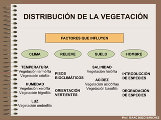 DISTRIBUCIÓN DE LA VEGETACIÓN Prof. ISAAC BUZO SÁNCHEZ FACTORES QUE INFLUYEN TEMPERATURA Vegetación termófila Vegetación criófila HUMEDAD Vegetación xerofila Vegetación higrófila LUZ Vegetación umbrófila PISOS  BIOCLIMÁTICOS ORIENTACIÓN  VERTIENTES INTRODUCCIÓN DE ESPECIES DEGRADACIÓN DE ESPECIES SALINIDAD Vegetación halófila ACIDEZ Vegetación acidófilas Vegetación basófila CLIMA RELIEVE SUELO HOMBRE 