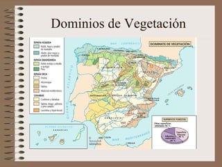 Dominios de Vegetación 
