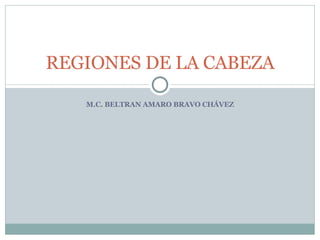 M.C. BELTRAN AMARO BRAVO CHÁVEZ REGIONES DE LA CABEZA 