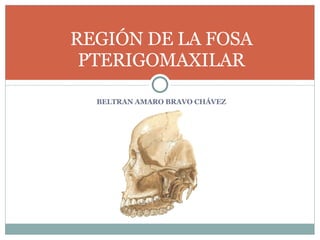 BELTRAN AMARO BRAVO CHÁVEZ REGIÓN DE LA FOSA PTERIGOMAXILAR 