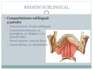 REGIÓN SUBLINGUAL Compartimiento sublingual: 4 paredes Anteroexterna: Fosita sublingual Pared pósterointerna: m. geniogloso, m. hiogloso y m. geniohioideo. Pared superior: mucosa bucal Pared inferior: m. milohioideo 