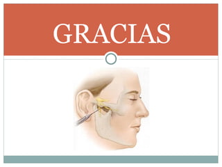 GRACIAS 