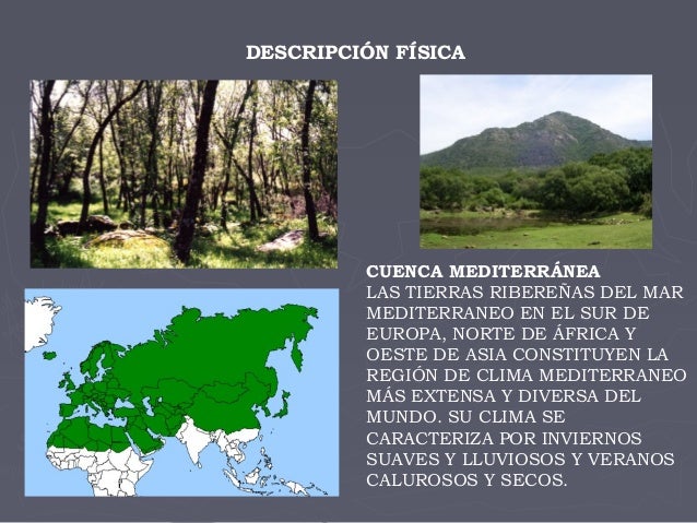 Regiones biogeograficas paleartica
