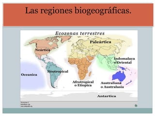 Las regiones biogeográficas.
 