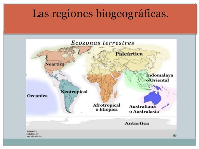 Regiones biogeograficas trabajo.
