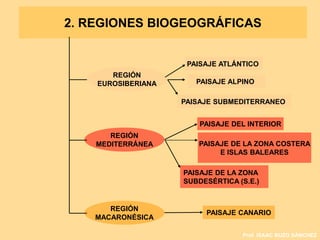 2. REGIONES BIOGEOGRÁFICAS 
PAISAJE ALPINO 
PAISAJE SUBMEDITERRANEO 
PAISAJE DE LA ZONA COSTERA 
E ISLAS BALEARES 
PAISAJE DE LA ZONA 
SUBDESÉRTICA (S.E.) 
Prof. ISAAC BUZO SÁNCHEZ 
REGIÓN 
EUROSIBERIANA 
REGIÓN 
MEDITERRÁNEA 
REGIÓN 
MACARONÉSICA 
PAISAJE ATLÁNTICO 
PAISAJE DEL INTERIOR 
PAISAJE CANARIO 
 