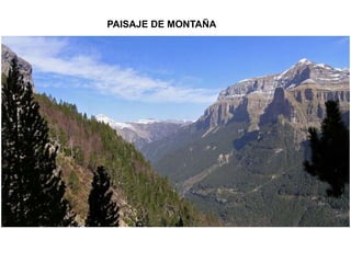 PAISAJE DE MONTAÑA 
 