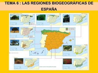 TEMA 6 : LAS REGIONES BIOGEOGRÁFICAS DE 
ESPAÑA 
 
