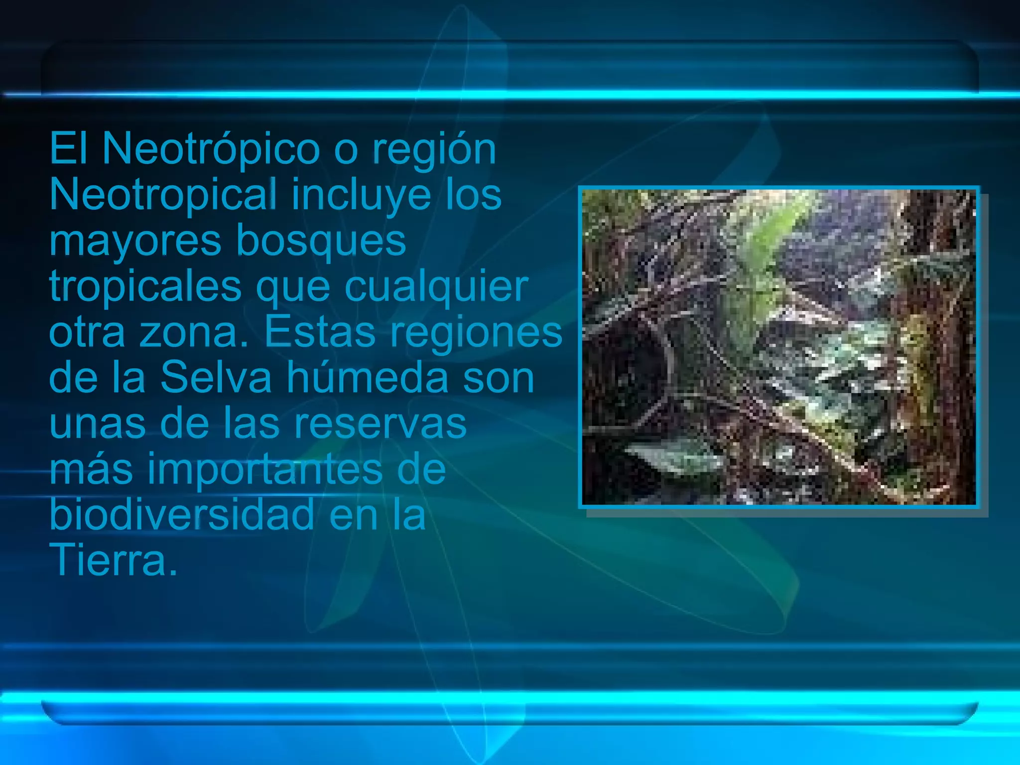 Regiones Biogeograficas Del Mundo | PPT