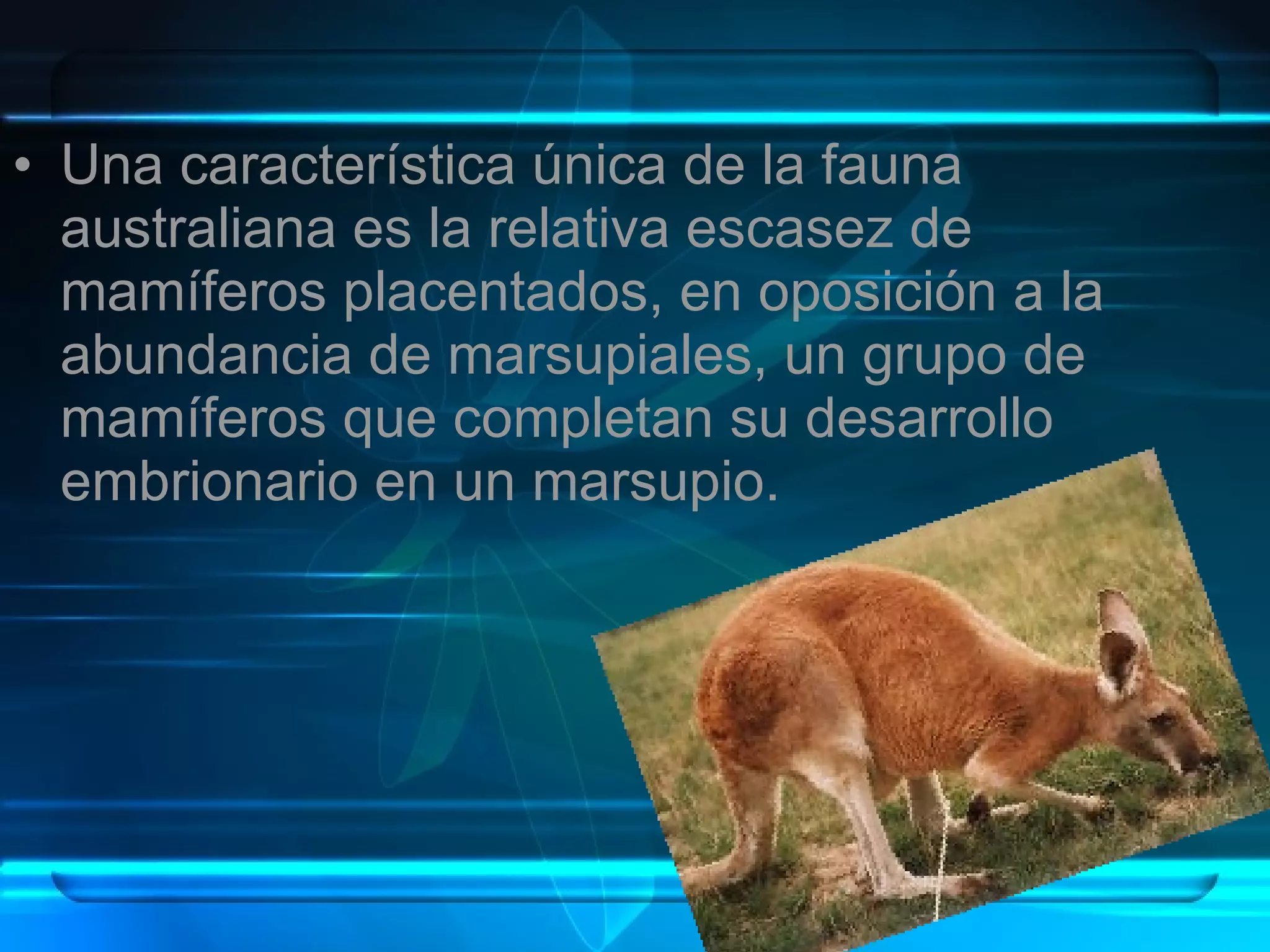 Regiones Biogeograficas Del Mundo | PPT