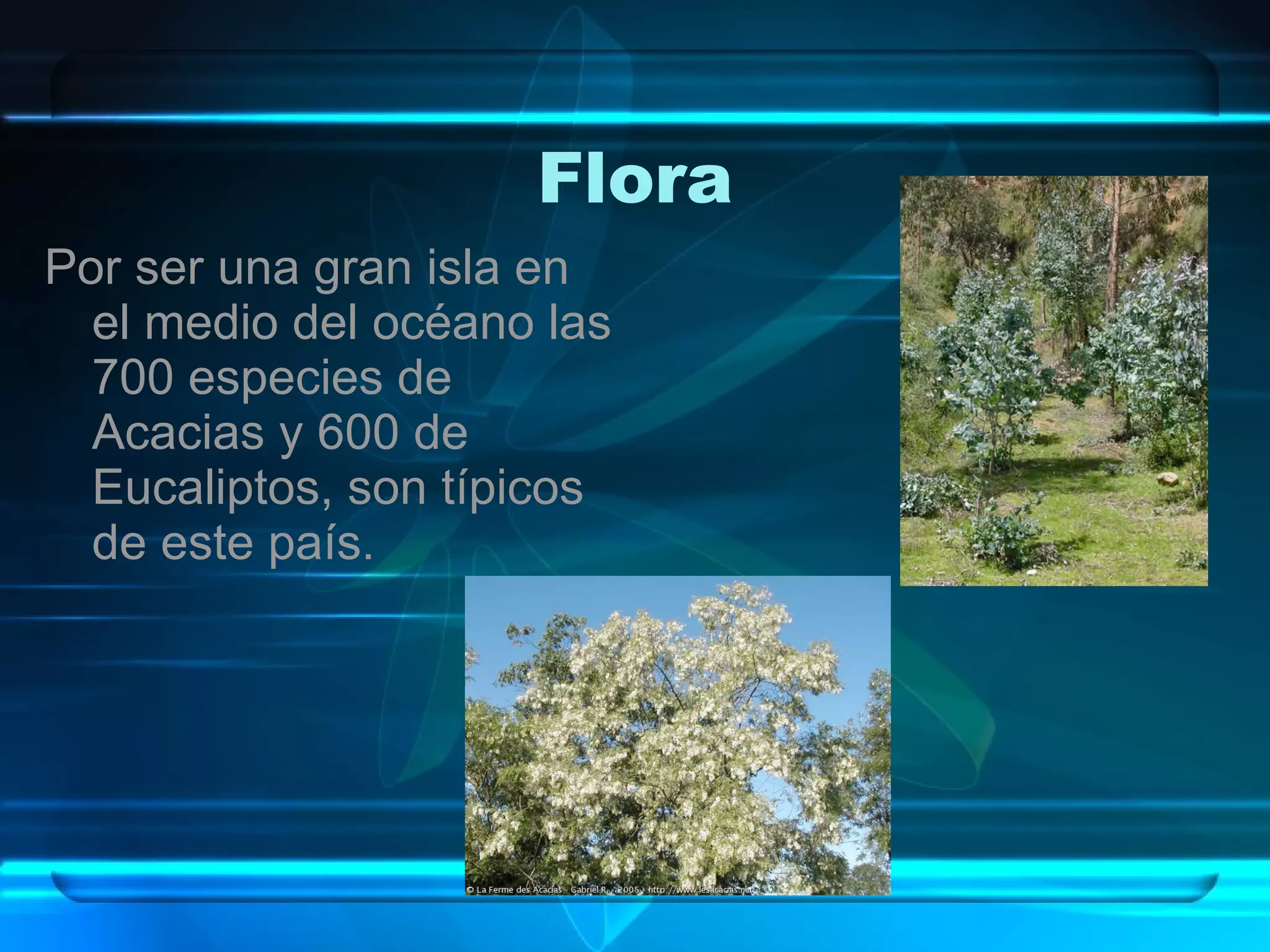 Regiones Biogeograficas Del Mundo | PPT