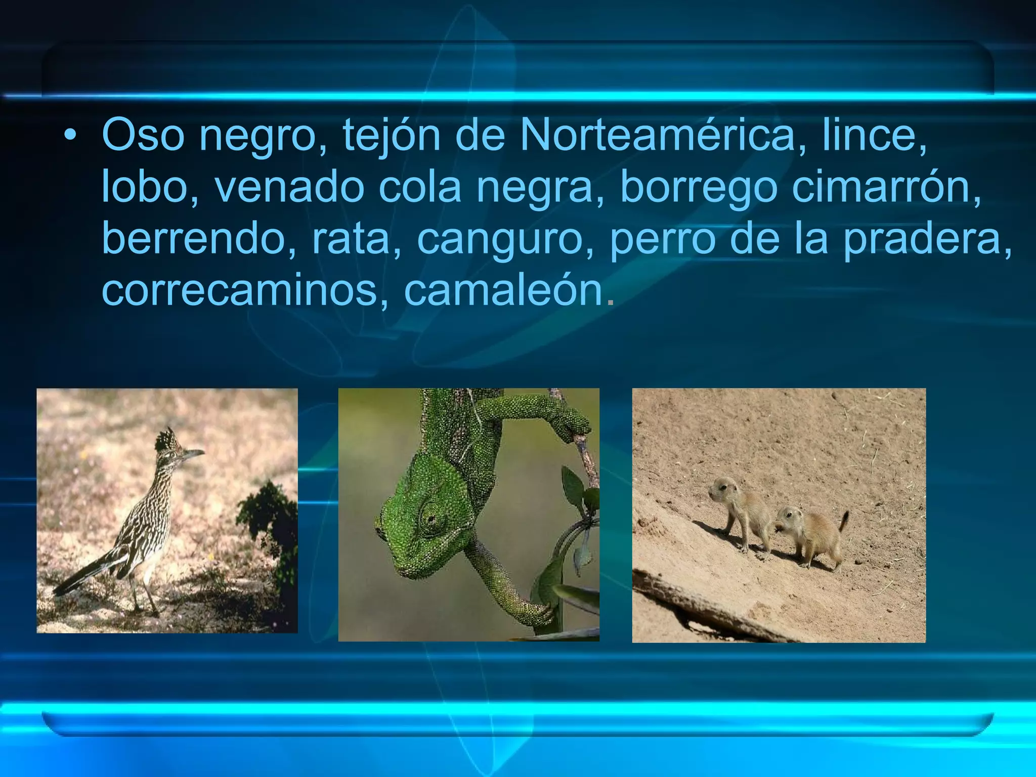 Regiones Biogeograficas Del Mundo | PPT