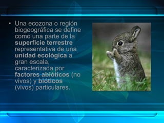 Regiones Biogeograficas Del Mundo | PPT