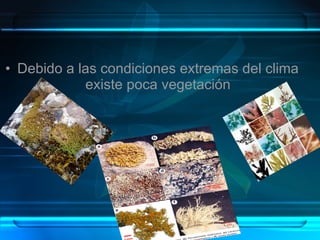 Regiones Biogeograficas Del Mundo | PPT