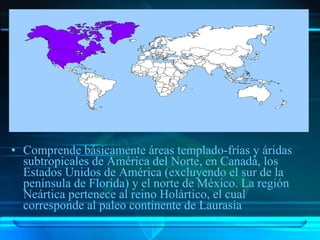 Regiones Biogeograficas Del Mundo | PPT