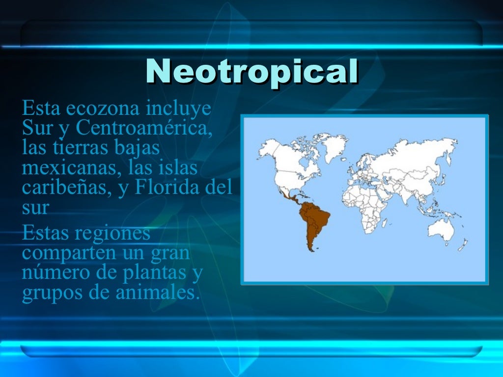 Regiones Biogeograficas Del Mundo Regiones Biogeograficas Del Mundo