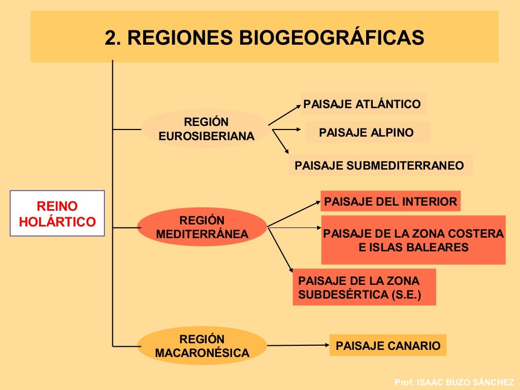 Regiones biogeográficas Regiones biogeográficas