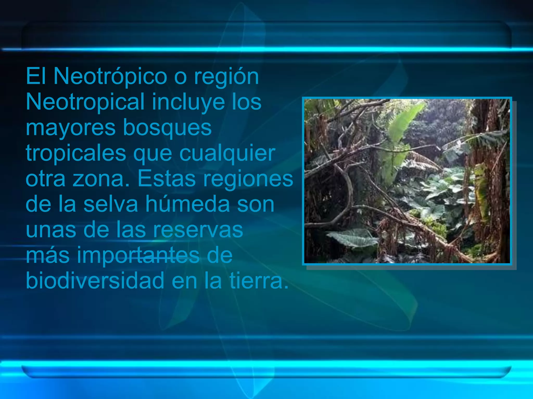 Regiones Biogeográficas del Mundo | PDF