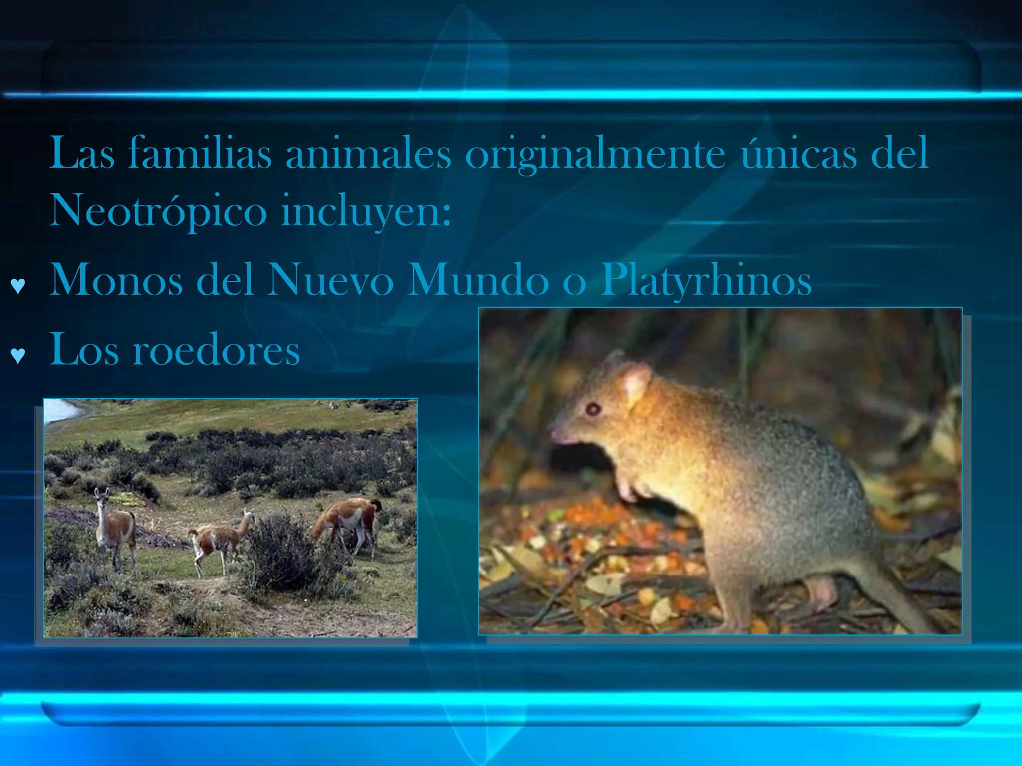 Regiones Biogeográficas del Mundo | PDF