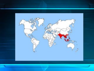 Regiones Biogeográficas del Mundo | PDF