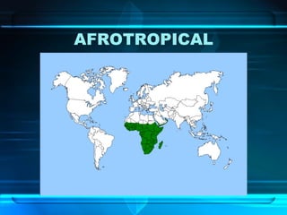 Regiones Biogeográficas del Mundo | PDF