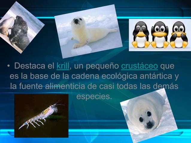 Regiones Biogeográficas del Mundo | PPT