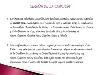    La Orinoquía colombiana, conocida como los llanos orientales, cuanta con una extensión
    de 310.000 Km2, localizándose en el oriente del país; se extiende desde las estribaciones
    de la cordillera Oriental hasta los limites con Venezuela y entre el río Arauca, en el nor te
    y el río Guaviare en el sur; abarcando territorios de los departamentos de
    Arauca, Casanare, Guainía, Meta, Guaviare, Vaupés y Vichada.

   Está conformada por extensas sabanas regadas por las corrientes que confluyen al río
    Orinoco. Los principales ríos que alimentan la cuenca se originan en el extremo oriental
    de la Cordillera de Los Andes en Colombia siendo los más importantes los ríos
    Arauca, Casanare, Meta y Guaviare. Esta región cuenta con otros ríos de gran
    importancia como el Tomo, Vita, Vichada, Guainía, Tuparro, Inírida y Cinaruco.
 
