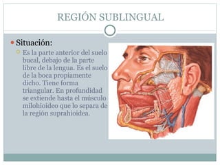 REGIÓN SUBLINGUAL
⚫Situación:
 Es la parte anterior del suelo
bucal, debajo de la parte
libre de la lengua. Es el suelo
de la boca propiamente
dicho. Tiene forma
triangular. En profundidad
se extiende hasta el músculo
milohioideo que lo separa de
la región suprahioidea.
 