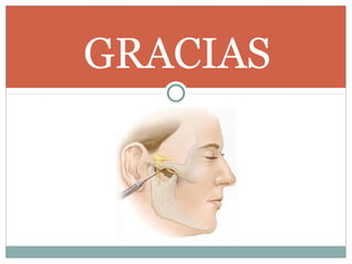GRACIAS
 