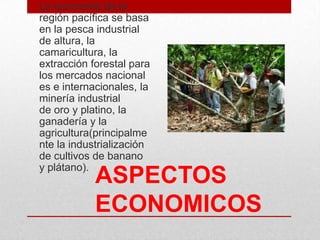 ASPECTOS
ECONOMICOS
• La economía de la
región pacífica se basa
en la pesca industrial
de altura, la
camaricultura, la
extracción forestal para
los mercados nacional
es e internacionales, la
minería industrial
de oro y platino, la
ganadería y la
agricultura(principalme
nte la industrialización
de cultivos de banano
y plátano).
 