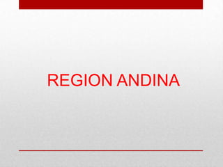 REGION ANDINA
 