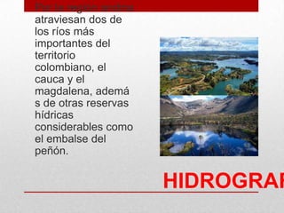 HIDROGRAF
• Por la región andina
atraviesan dos de
los ríos más
importantes del
territorio
colombiano, el
cauca y el
magdalena, ademá
s de otras reservas
hídricas
considerables como
el embalse del
peñón.
 
