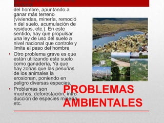 PROBLEMAS
AMBIENTALES
graves es el avasallamiento
territorial
del hombre, apuntando a
ganar más terreno
(viviendas, minería, remoció
n del suelo, acumulación de
residuos, etc.). En este
sentido, hay que propulsar
una ley de uso del suelo a
nivel nacional que controle y
limite el paso del hombre
• Otro problema grave es que
están utilizando este suelo
como ganadería, Ya que
hay zonas que las pesuñas
de los animales la
erosionan, poniendo en
peligro diversas especies,
• Problemas son
muchos, deforestación, intro
ducción de especies minería
etc.
 