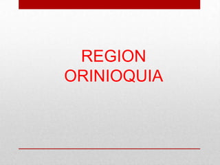 REGION
ORINIOQUIA
 