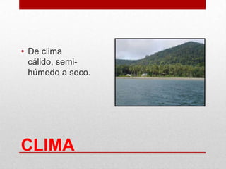 CLIMA
• De clima
cálido, semi-
húmedo a seco.
 