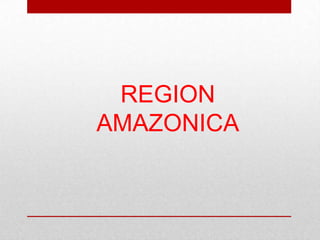 REGION
AMAZONICA
 