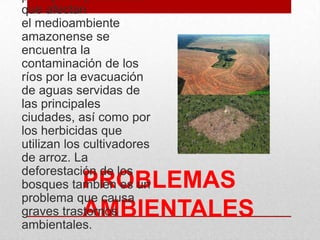 PROBLEMAS
AMBIENTALES
principales problemas
que afectan
el medioambiente
amazonense se
encuentra la
contaminación de los
ríos por la evacuación
de aguas servidas de
las principales
ciudades, así como por
los herbicidas que
utilizan los cultivadores
de arroz. La
deforestación de los
bosques también es un
problema que causa
graves trastornos
ambientales.
 