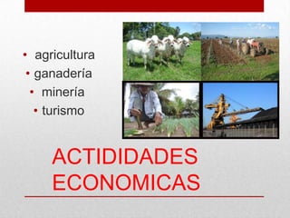 ACTIDIDADES
ECONOMICAS
• agricultura
• ganadería
• minería
• turismo
 