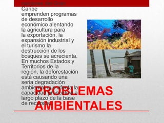 PROBLEMAS
AMBIENTALES
• A medida que las
naciones del Gran
Caribe
emprenden programas
de desarrollo
económico alentando
la agricultura para
la exportación, la
expansión industrial y
el turismo la
destrucción de los
bosques se acrecienta.
En muchos Estados y
Territorios de la
región, la deforestación
está causando una
seria degradación
ambiental que afecta la
capacidad productiva a
largo plazo de la base
de recursos.
 